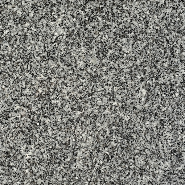 Gris Robledo importance=