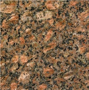 Gujarat Brown