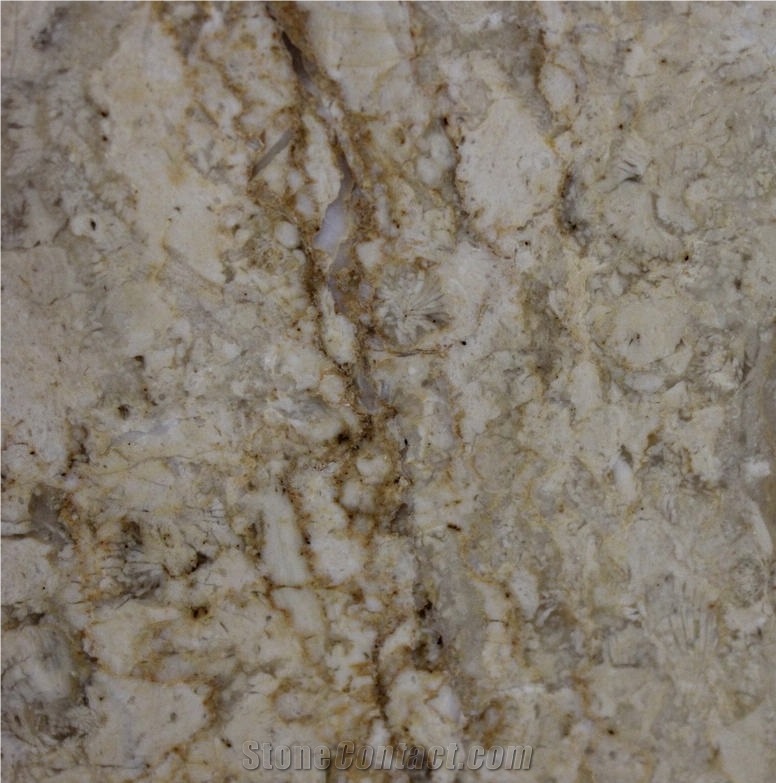 Happy Gold Marble  Tile