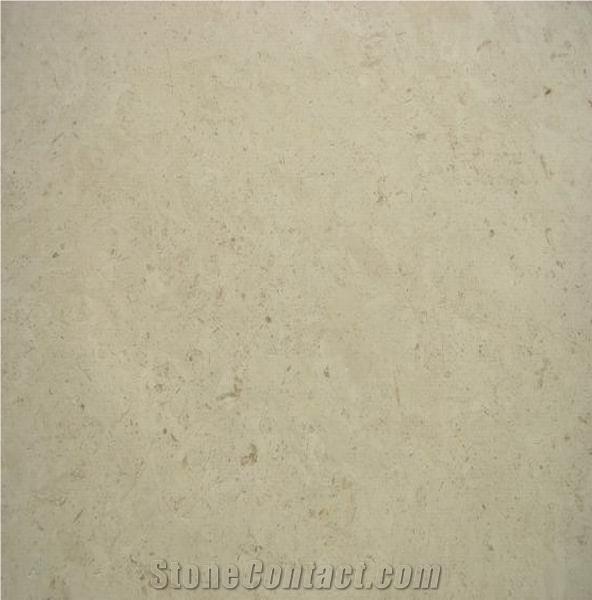 Hebron Beige Limestone importance=