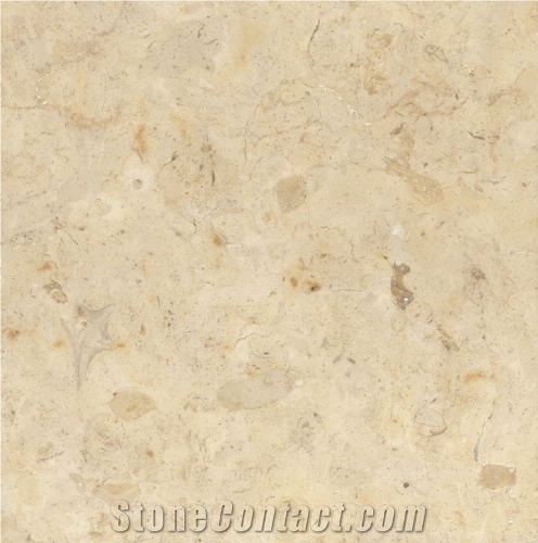Hebron Bone Limestone importance=
