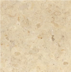 Hebron Bone Limestone