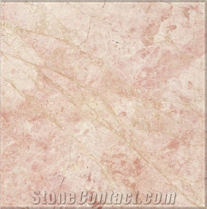 Heliconas Pink Marble importance=