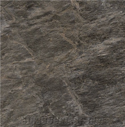 Hoegseter Phyllite importance=