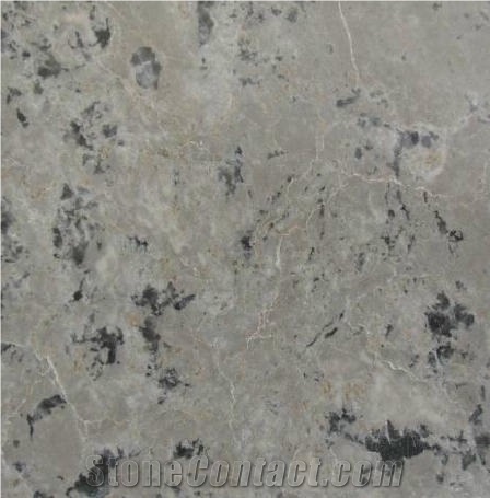 Hunza Grey Limestone Tile