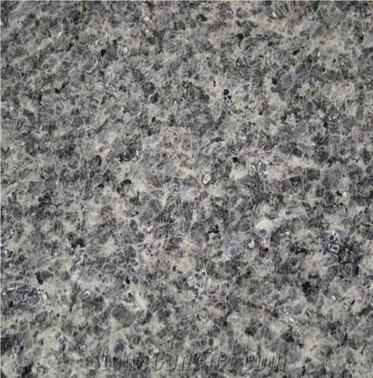 Ice Flower Blue Granite importance=