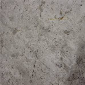 Imperial Silver Marble Tile