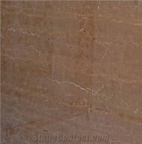 Inca Brown Marble importance=