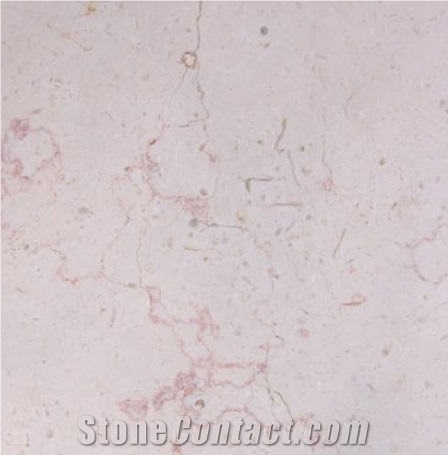 Injasa White Limestone Tile