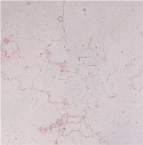 Injasa White Limestone Tile