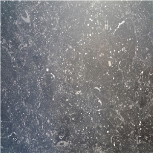 Irish Blue Limestone Tile