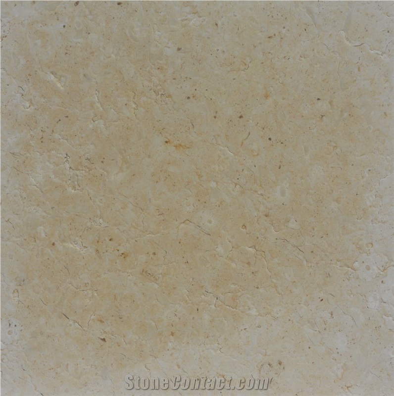 Ivory Lace Limestone importance=