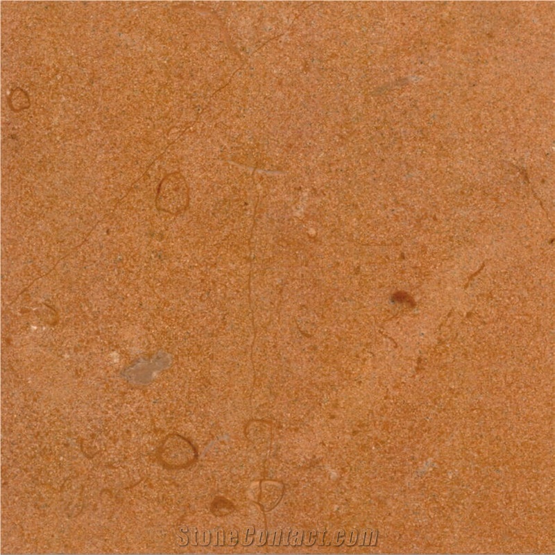 Jaisalmer Fossil Limestone importance=