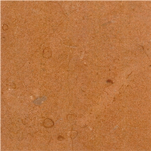 Jaisalmer Fossil Limestone