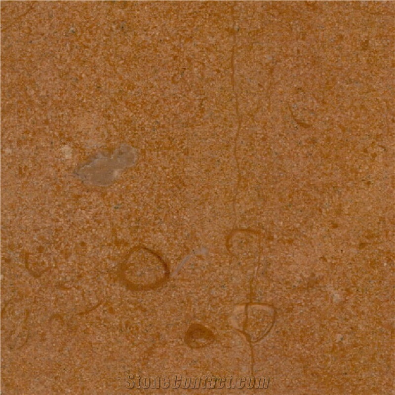 Jaisalmer Fossil Limestone Tile