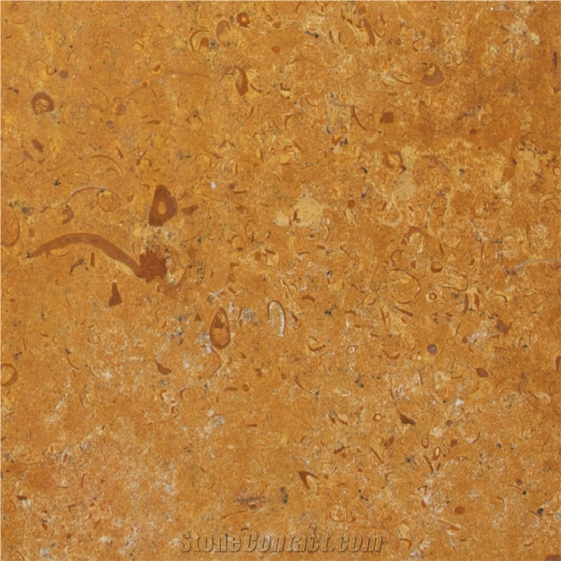 Jaisalmer Fossil Limestone Tile