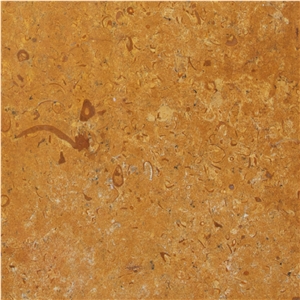 Jaisalmer Fossil Limestone Tile