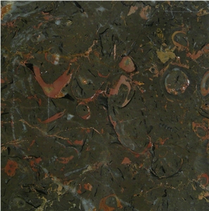 Jardin Fleuri Limestone