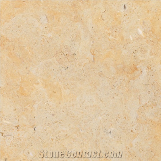 Jerusalem Gold Limestone Tile