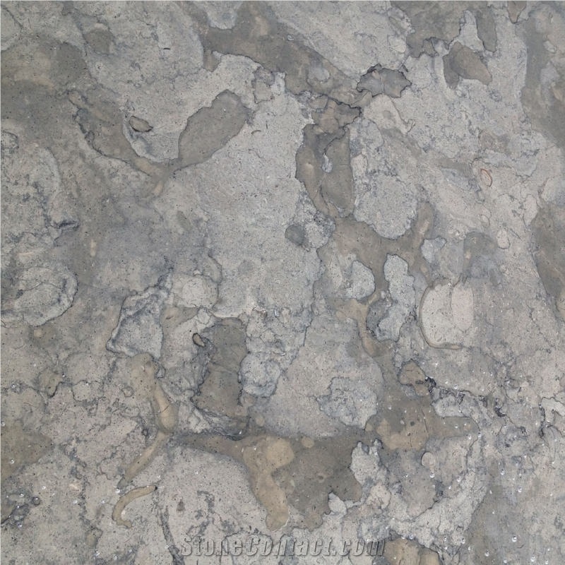 Jerusalem Grey Limestone importance=