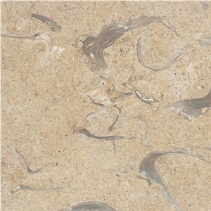 Jerusalem Sea Shells Limestone