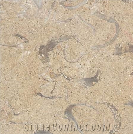 Jerusalem Shells Limestone importance=