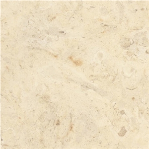 Jerusalem Shells Limestone Tile