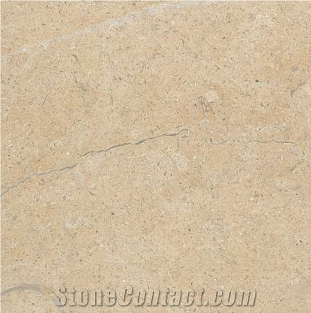 Jerusalem Shells Limestone Tile