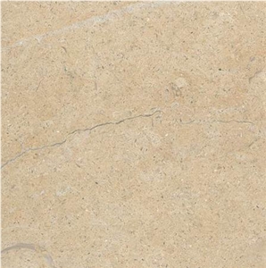 Jerusalem Shells Limestone Tile