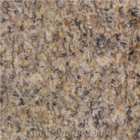 Jinshan Gold Granite Tile