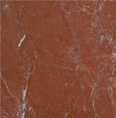 Kale Bordeaux Tile