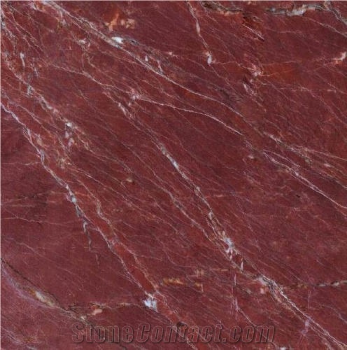 Kale Bordeaux Tile