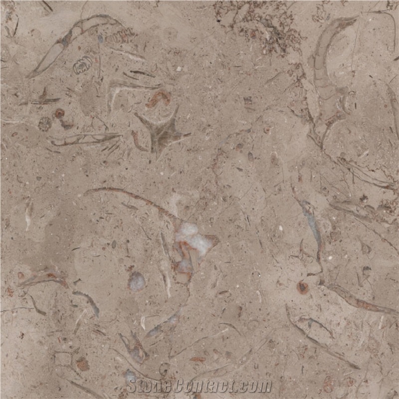 Katrina Marble importance=