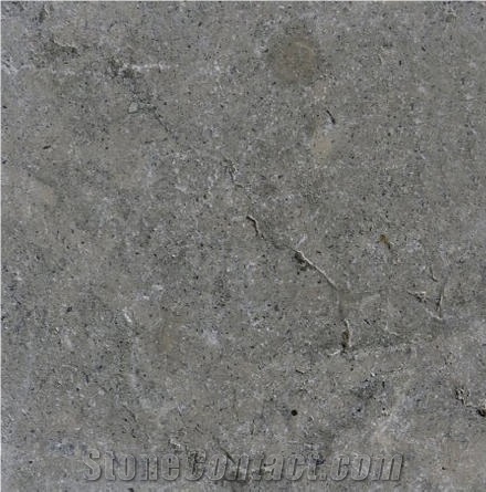 Kinnekulle Gray Limestone importance=