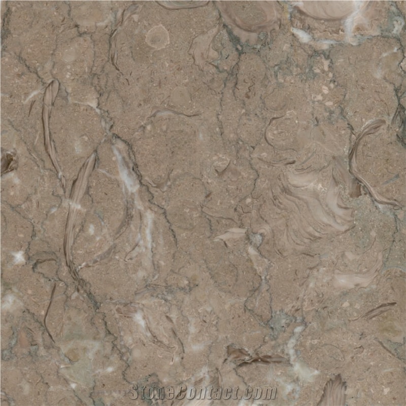 Kohilie Limestone importance=