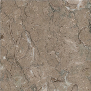 Kohilie Limestone
