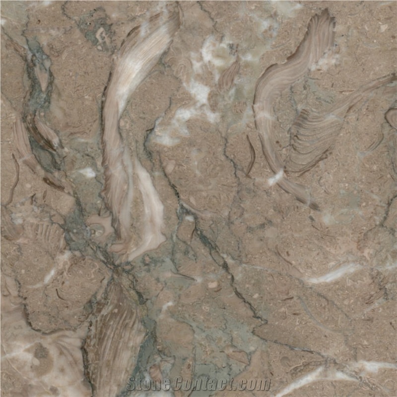 Kohilie Limestone Tile