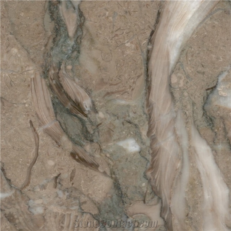 Kohilie Limestone Tile