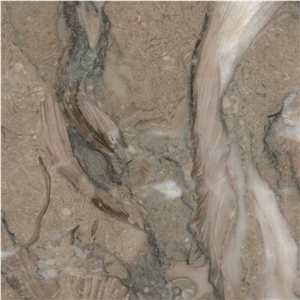 Kohilie Limestone Tile