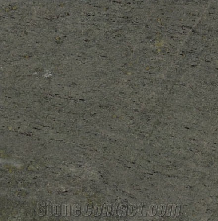 Labrador Verde Slate importance=