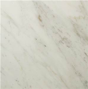 Lasa Bianco Statuario Marble