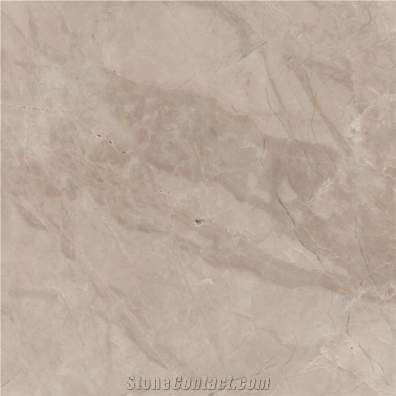 Latte Beige importance=