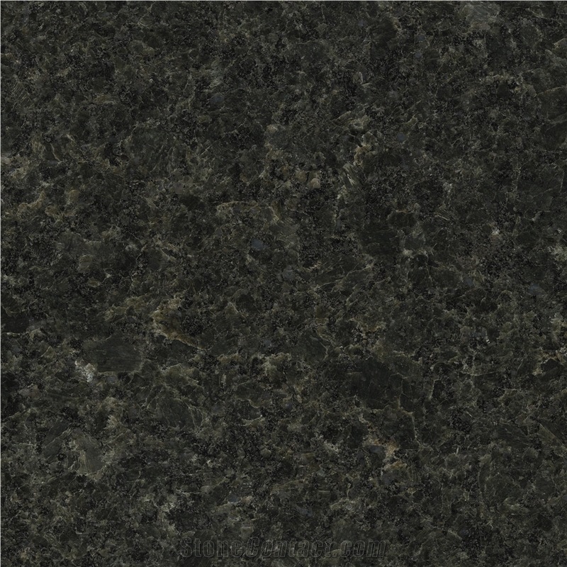 Laurentian Green Granite Tile