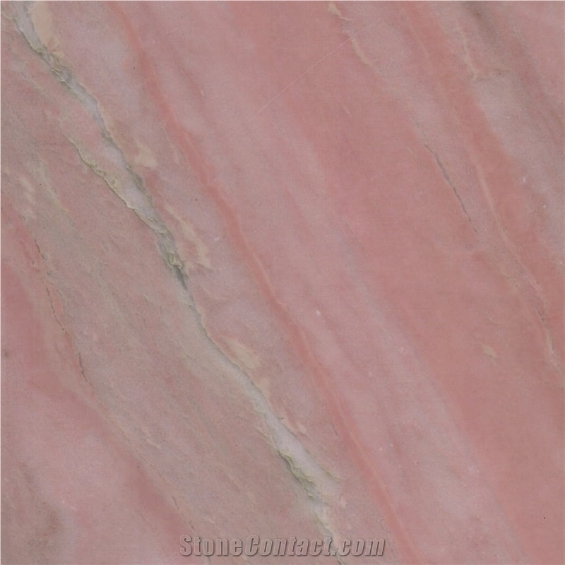 Leonardo da Vinci Marble Tile
