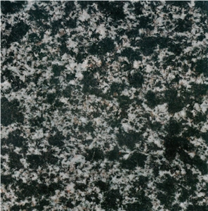 Leopard Skin Green Granite