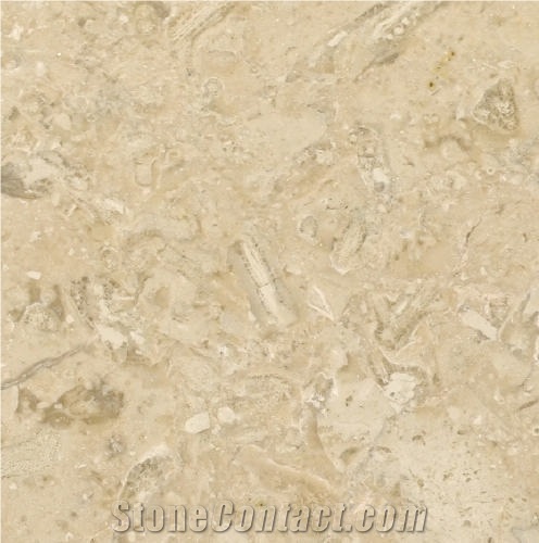 Limassol Limestone importance=