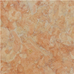 Lioz Coral