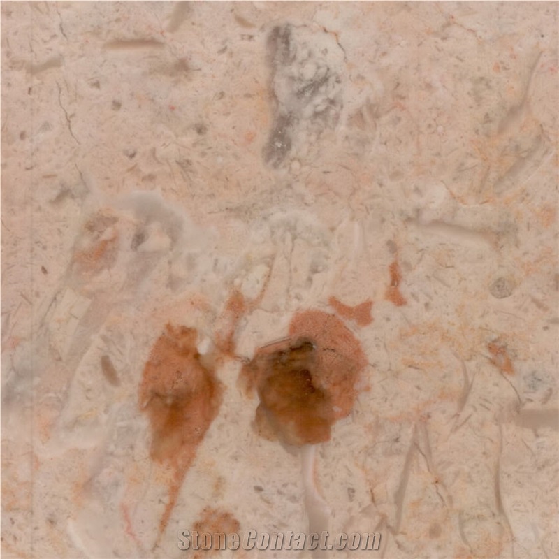 Lioz Dourado Antigo Tile