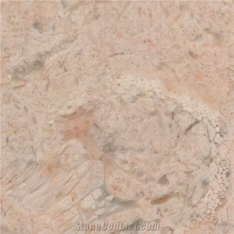 Lioz Dourado Antigo Tile
