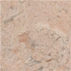 Lioz Dourado Antigo Tile